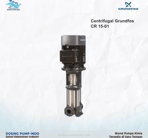 Centrifugal Grundfos